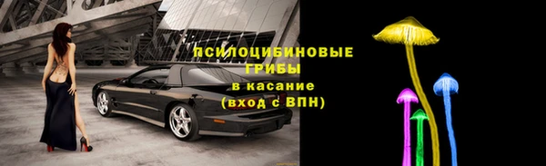apvp Бородино