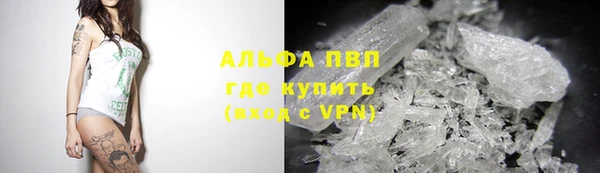 apvp Бородино