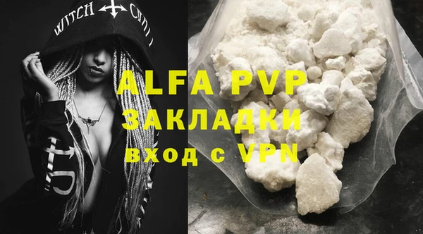 apvp Бородино