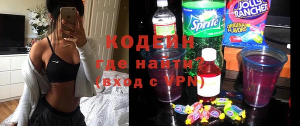 apvp Бородино