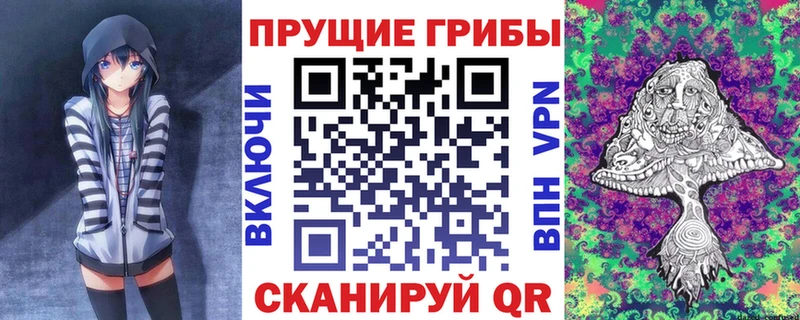 Псилоцибиновые грибы мицелий  Кимовск 